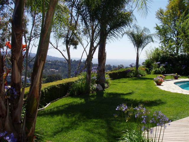 Rear Yard View